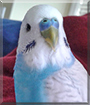 Name:  large (1).jpg
Views: 163
Size:  11.2 KB