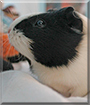 Name:  large (1).jpg
Views: 273
Size:  10.3 KB