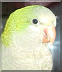 Name:  large.jpg
Views: 122
Size:  10.7 KB