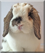 Name:  large (1).jpg
Views: 155
Size:  9.4 KB