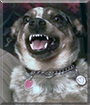Name:  large.jpg
Views: 129
Size:  12.9 KB