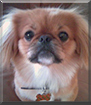 Name:  large.jpg
Views: 141
Size:  11.4 KB