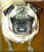 Name:  large222.jpg
Views: 139
Size:  12.8 KB