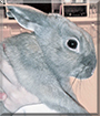 Name:  large11.jpg
Views: 343
Size:  11.2 KB