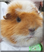 Name:  large.jpg
Views: 224
Size:  11.7 KB