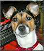 Name:  large11.jpg
Views: 121
Size:  14.6 KB