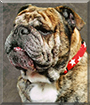 Name:  large (2)11.jpg
Views: 131
Size:  14.0 KB