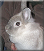 Name:  large.jpg
Views: 339
Size:  10.1 KB