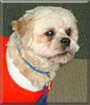 Name:  large11.jpg
Views: 123
Size:  10.6 KB