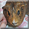 Name:  small.jpg
Views: 159
Size:  7.0 KB