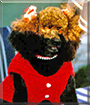 Name:  dog.jpg
Views: 197
Size:  16.1 KB