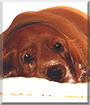Name:  large.jpg
Views: 201
Size:  12.8 KB