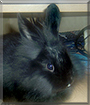 Name:  large.jpg
Views: 527
Size:  11.0 KB