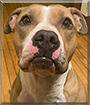 Name:  large (1).jpg
Views: 295
Size:  12.6 KB