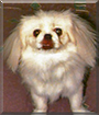 Name:  large.jpg
Views: 334
Size:  11.9 KB