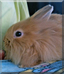 Name:  large (1).jpg
Views: 489
Size:  11.3 KB
