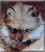 Name:  14s (1).jpg
Views: 295
Size:  11.7 KB