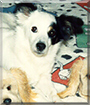 Name:  large.jpg
Views: 308
Size:  13.6 KB