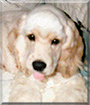 Name:  large.jpg
Views: 130
Size:  14.3 KB