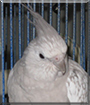 Name:  large.jpg
Views: 372
Size:  11.3 KB