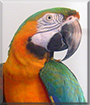 Name:  17s.jpg
Views: 168
Size:  13.5 KB