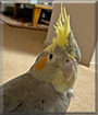 Name:  large (1).jpg
Views: 163
Size:  10.1 KB