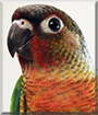 Name:  30s.jpg
Views: 127
Size:  12.8 KB