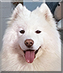 Name:  large.jpg
Views: 221
Size:  10.8 KB