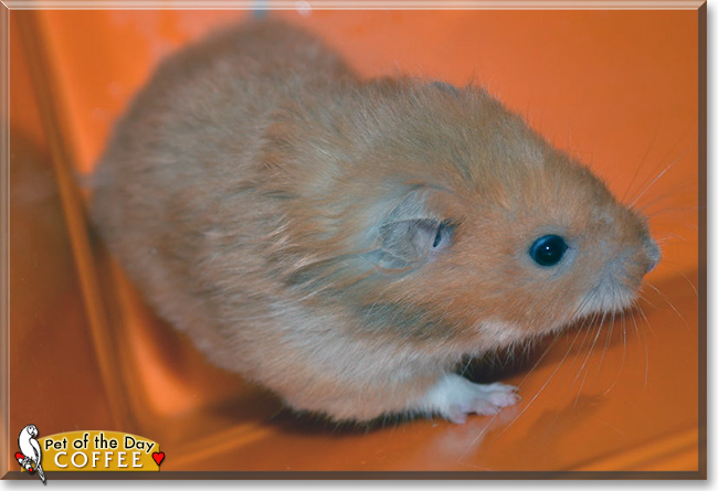 Name:  04 (1).jpg
Views: 192
Size:  159.6 KB