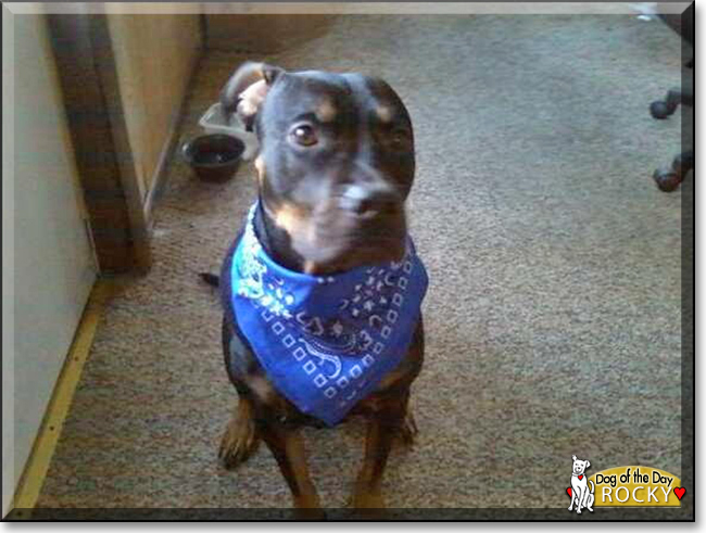 Name:  21.jpg
Views: 128
Size:  173.8 KB