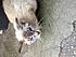 Click image for larger version.
Name: Frankie_2.JPG
Views: 22
Size: 43.9 KB
ID: 54485