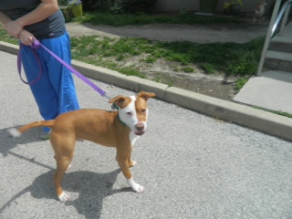 Name: greg.bmp
Views: 217
Size: 225.1 KB