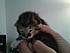 Click image for larger version.
Name: IMG-20120418-00781.jpg
Views: 26
Size: 51.5 KB
ID: 53328