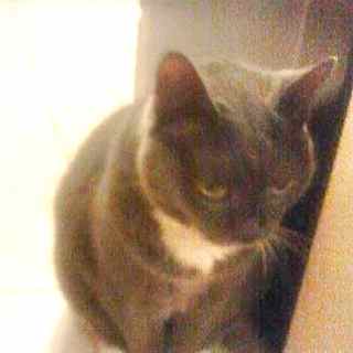 Name: zander.jpg
Views: 24
Size: 14.2 KB