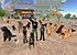 This is a picture, of My Nephew Danny, a dear friend Daena, and me at Dogland Park with some of our Virtual Dogs.