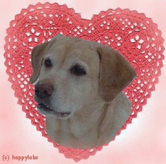 Name:  valentinecasey.jpg
Views: 160
Size:  28.1 KB