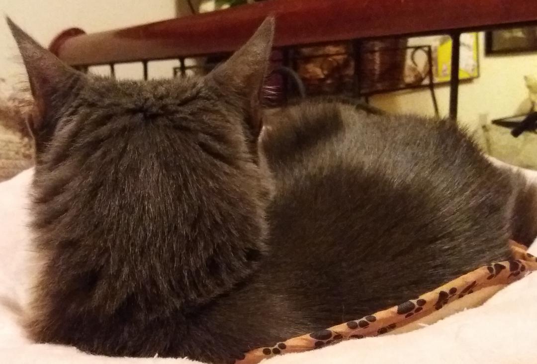 Name:  monhead.jpg
Views: 315
Size:  91.2 KB