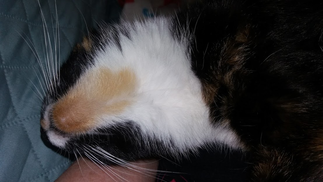 Name:  minchin.jpg
Views: 824
Size:  147.9 KB