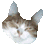 Keth's Avatar