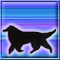 phiala's Avatar