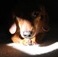 duke_the_dachshund's Avatar