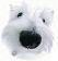 Ilovemydoggy's Avatar