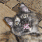 princessofjade's Avatar