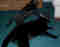 jswain78's Avatar