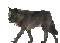 WRR's Avatar
