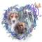 ilovehounds's Avatar