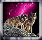 Wolffffman's Avatar