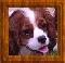 Prue's Avatar
