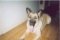 misterduke's Avatar