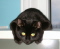 Juniors Mom's Avatar